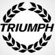 Все модели Triumph